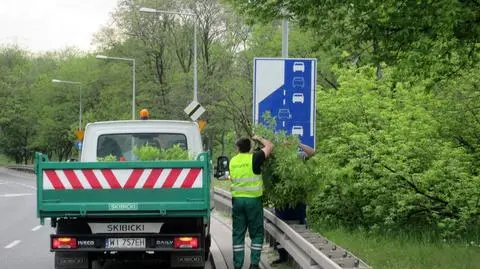 Drzewa zasłaniają znaki. Możesz to zgłosić