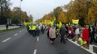 Protest działkowców