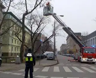 Spróchniałe drzewo zagrażało przechodniom 