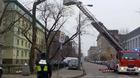 10-metrowe drzewo zagrażało przechodniom