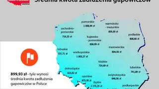 Średnia kwota zadłużenia gapowiczów 