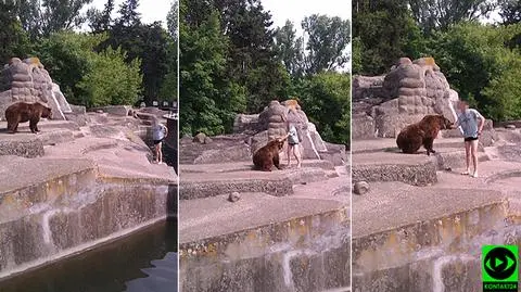 "Głupich nie brakuje". Zoo chce monitoringu przy wybiegu