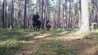 76-latek zabłądził w lesie 