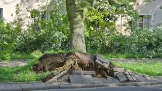 Akcja strażaków na Bielanach