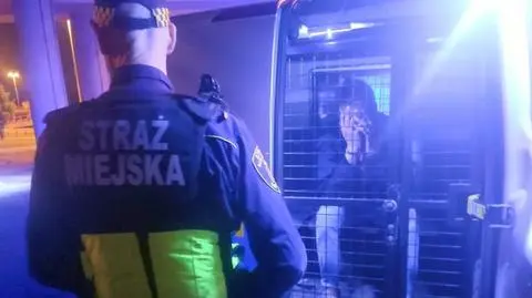 Kierowca "z trudem odpowiadał na zadawane pytania, jego źrenice były powiększone"