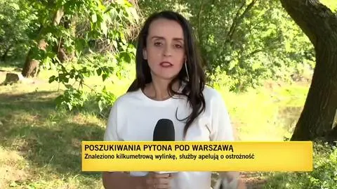 Znaleziono nowe ślady węża