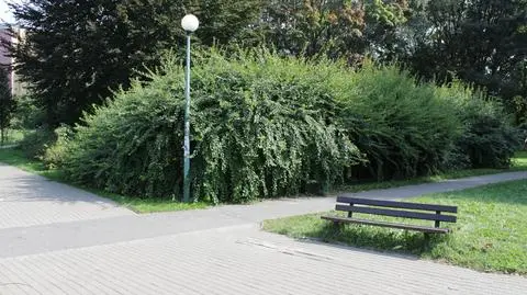 Martwy noworodek w torbie w parku. Policja szuka świadków