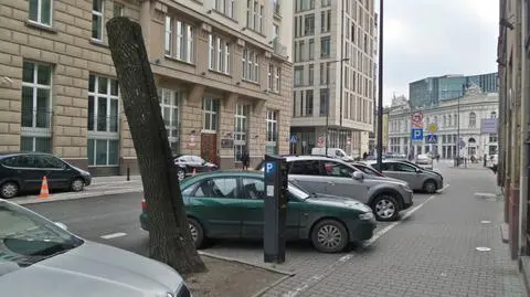 "Kikuty" zaniepokoiły radnego. "Wyciął jakiś miejski esteta"