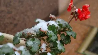 Pierwszy śnieg w Warszawie