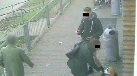 "Widać, jak para odwiązuje szczeniaka". 20-latkowie podejrzani o kradzież psa