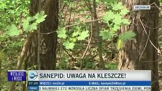 Sanepid: uwaga na kleszcze