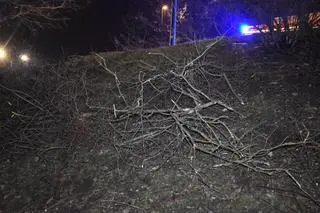 Samochód spadł z jedni na parking