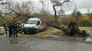 Drzewo spadło na samochód