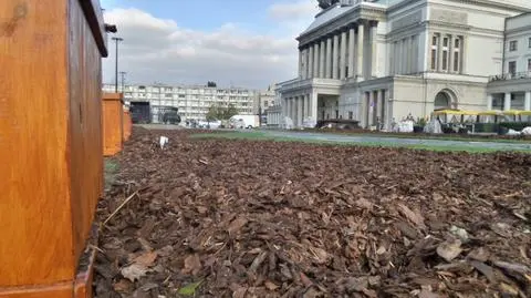 Wywieźli drzewa, zwinęli trawę. Park Teatralny cieszył zbyt krótko