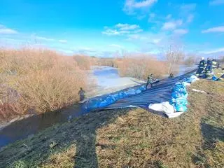 Działania strażaków w miejscowości Borowe