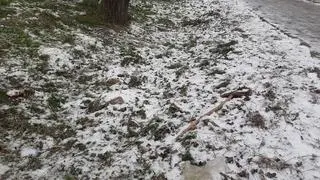 Koszenie śniegu na Bemowie 