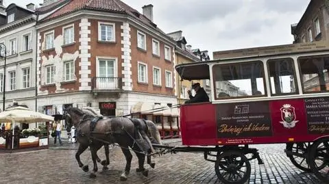 6 razy dziennie, co 40 minut. W sobotę wraca konny omnibus