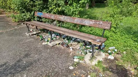 Był ogródek jordanowski, miały być apartamenty, są sterty śmieci i zapuszczone krzaki