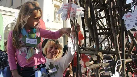 Nowe drzewa na Polu Mokotowskim, Drzewo Wolności przy pl. Zamkowym