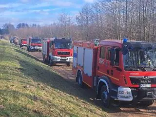 Działania strażaków w miejscowości Borowe