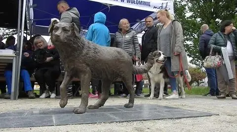 Odsłonięcie rzeźby psa Miśka - miejskiej legendy