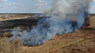 Pożar traw w Starych Lipinach