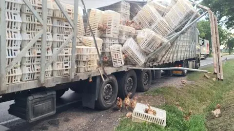 Wypadek z udziałem dwóch ciężarówek. Jedno z aut przewoziło klatki z drobiem 