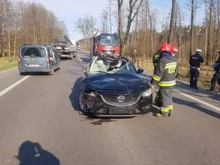 Zderzenie z łosiem w Wólce Radzymińskiej 