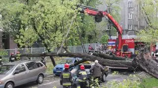 Drzewo runęło na samochody