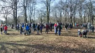 Protest przeciwko wycince drzew w Parku Powstańców Warszawy