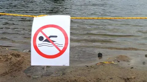 Sinice wróciły. Zakaz kąpieli w Jeziorku Czerniakowskim