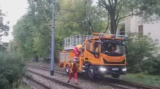 Gałąź spadła na sieć trakcyjną na Bemowie