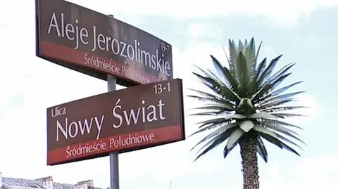 Osiem lat palmy w stolicy