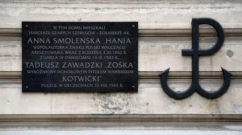 "Nie umiemy wytłumaczyć popularności tego znaku"