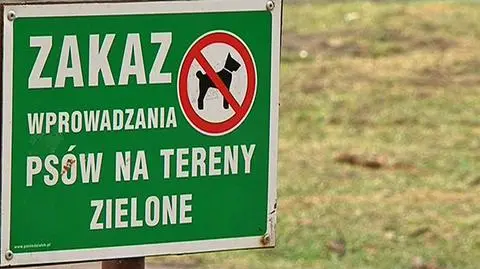 Więcej mandatów za niesprzątanie po psach