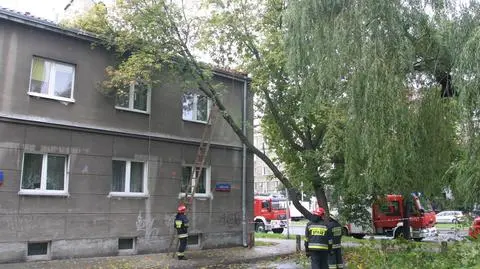 Drzewo pękło i osunęło się na budynek 