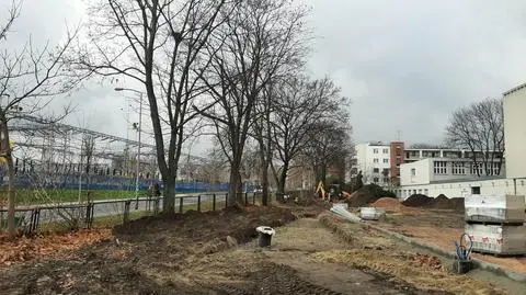Chcieli wyciąć pięć zdrowych drzew. Była nawet decyzja. Wtedy ktoś zadzwonił do projektanta...