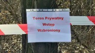 Wycinka w Pruszkowie