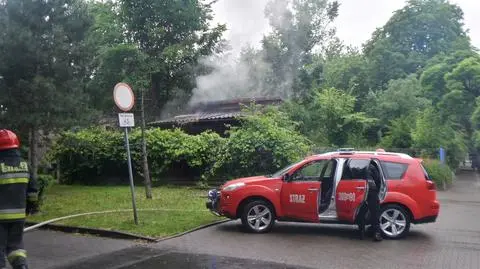 Akcja strażaków w Parku Ujazdowskim. Pożar domku