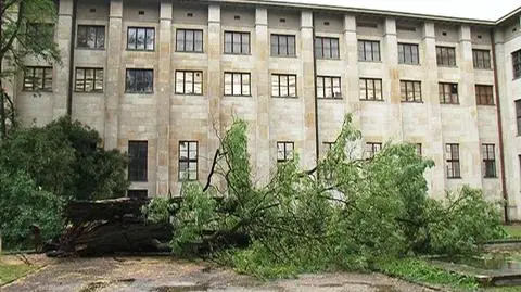 Drzewo runęło na dziedziniec Muzeum Narodowego