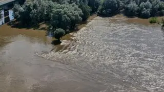 Coraz więcej wody w Wiśle