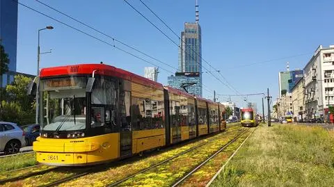 Udany eksperyment. Zazielenią kolejne torowiska w centrum Warszawy