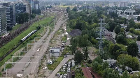 Kolejarze planują wycinkę drzew