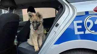 Uwolnili go policjanci