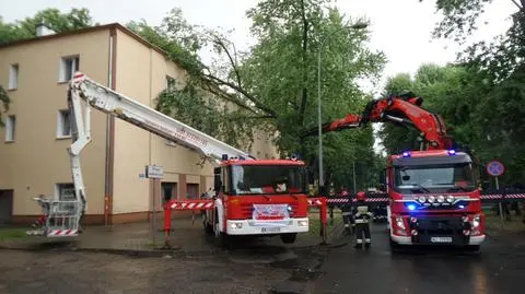 Drzewo na budynku. Dźwig strażacki w akcji 