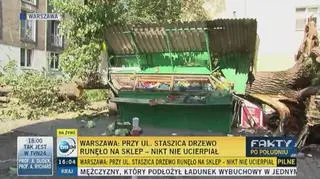 Relacja świadków