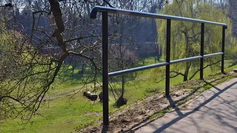 Sukces budżetu obywatelskiego: na Żoliborzu stanęła... barierka