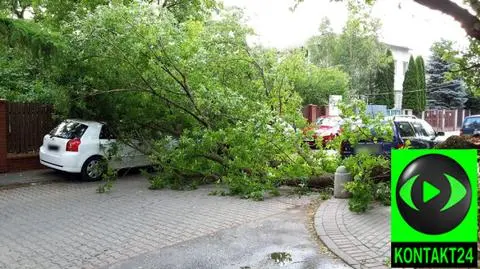 Drzewo spadło na zaparkowany samochód