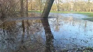 Podtopienia w parku Sady Żoliborskie