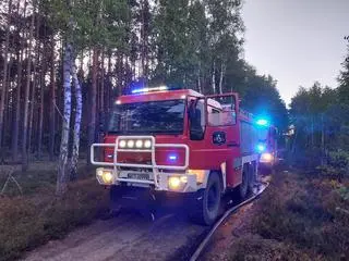 Pożar lasu w Karczewie 